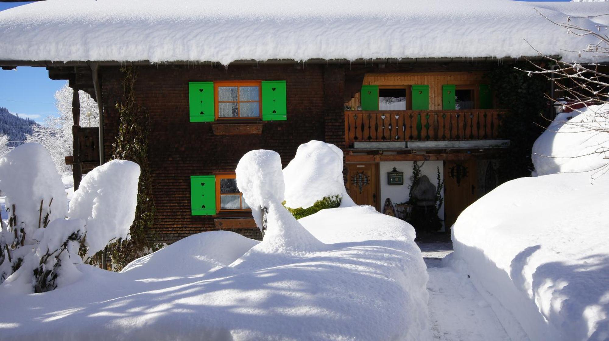 Haus Aelpele Apartment Klosterle am Arlberg Bagian luar foto